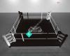 STM Boxing Academy by Cairo George