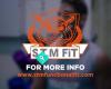STM Functional Fit