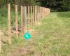 Straight Line Fencing