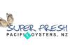 Super Fresh Pacific Oysters NZ