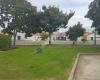SuperValue Edgecumbe