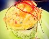 Sushi Ninja