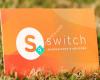 Switch Accountants 2017 Limited
