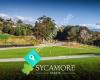 Sycamore Estate