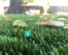 SynScape Synthetic Grass