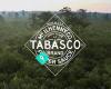 Tabasco New Zealand