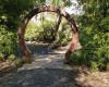 Taitua Arboretum