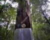 Talbot Forest Scenic Reserve