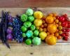 Taupo Community Gardens