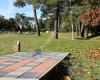 Taupo Disc Golf Course