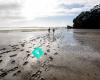 Tauranga Boys' College Mud Challenge