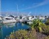 Tauranga Marina