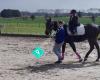 Tbl Equestrian Te Aroha