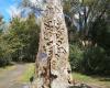 Te Aroaroa - The Long Pathway Park, Carpark and Reserve