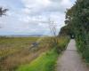 Te Atatu Walkway