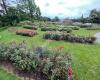 Te Awamutu Rose Garden