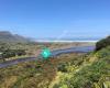 Te Henga Ecological Restoration - Bethels beach