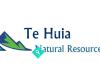 Te Huia Natural Resources Ltd