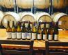 TE WHARE RA Vineyard and Winery