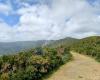 Te Whiti Riser Summit