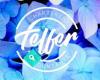 Telfer Chartered Accountants
