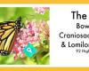 The Clinic Southbridge-Bowen,Craniosacral Therapy and Lomilomi Massage