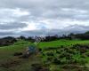 The Koha Shed - West Auckland