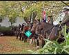 The NZ Mounted Rifles Charitable Trust - Public