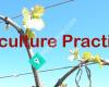 The Viticulture Practice Ltd.