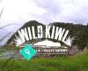 The Wild Kiwi