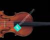 Thomas Grube - Learn and Play the Violin