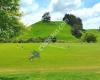 Tokoroa Cricket Club (South Waikato Cricket Association)