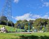 Totara Park Playground