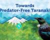 Towards Predator-Free Taranaki