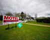 Tower Road  Motel Matamata