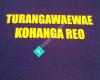 Turangawaewae Kohanga Reo.