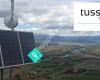 Tussock Networks