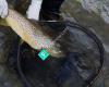 Venture Fly Fishing- South Island