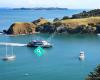 Waiheke Escapes