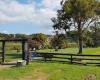 Waiheke Golf Club