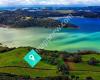 Waiheke Horse Tours