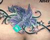 Waihi Tattoo Studio (Deane Holland)