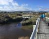 Waikanae Estuary Scientific Reserve