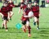 Waikanae Rugby