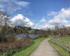 Waikato River Walk