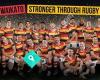 Waikato Rugby