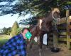 Waima River Farm
