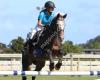 Wainoni Park Pony Club