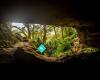 Waipu Caves Lodge - The Universitree