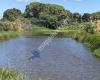 Wairakei Reserve